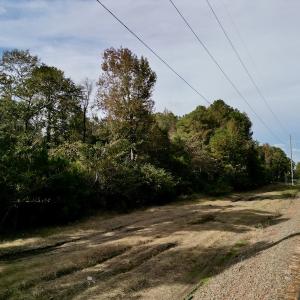 Photo #16 of SOLD property in Off Rail Road St, Chocowinity, NC 3.4 acres