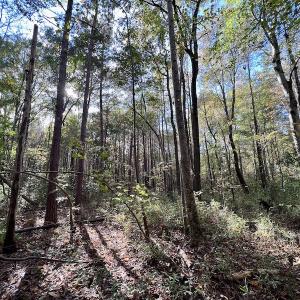 Photo #18 of SOLD property in Off Rail Road St, Chocowinity, NC 3.4 acres