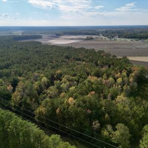 Photo #3 of SOLD property in Off Rail Road St, Chocowinity, NC 3.4 acres