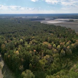 Photo #4 of SOLD property in Off Rail Road St, Chocowinity, NC 3.4 acres