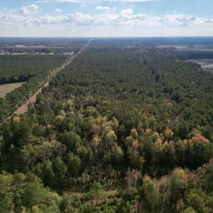 Photo #5 of SOLD property in Off Rail Road St, Chocowinity, NC 3.4 acres