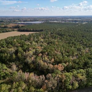 Photo #6 of SOLD property in Off Rail Road St, Chocowinity, NC 3.4 acres