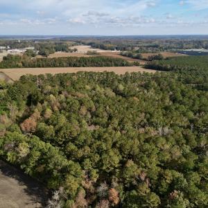Photo #7 of SOLD property in Off Rail Road St, Chocowinity, NC 3.4 acres