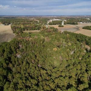 Photo #9 of SOLD property in Off Rail Road St, Chocowinity, NC 3.4 acres