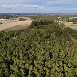 Photo #10 of SOLD property in Off Rail Road St, Chocowinity, NC 3.4 acres