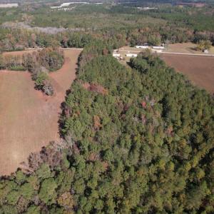 Photo #10 of SOLD property in Off Harrells Hwy, Garland, NC 15.8 acres