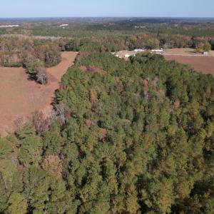 Photo #11 of SOLD property in Off Harrells Hwy, Garland, NC 15.8 acres