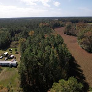 Photo #15 of SOLD property in Off Harrells Hwy, Garland, NC 15.8 acres