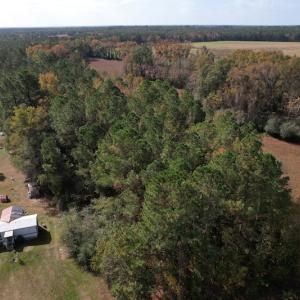 Photo #16 of SOLD property in Off Harrells Hwy, Garland, NC 15.8 acres