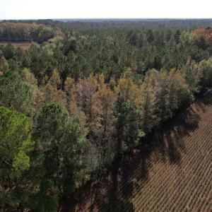 Photo #2 of SOLD property in Off Harrells Hwy, Garland, NC 15.8 acres