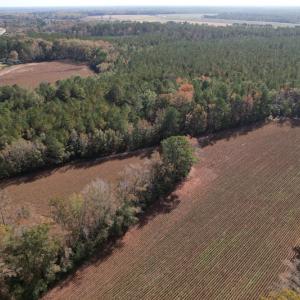 Photo #3 of SOLD property in Off Harrells Hwy, Garland, NC 15.8 acres