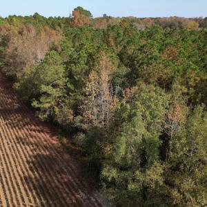 Photo #4 of SOLD property in Off Harrells Hwy, Garland, NC 15.8 acres