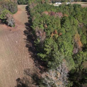 Photo #5 of SOLD property in Off Harrells Hwy, Garland, NC 15.8 acres