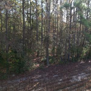 Photo #8 of SOLD property in Off Harrells Hwy, Garland, NC 15.8 acres