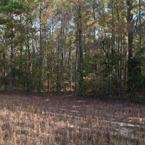 Photo #9 of SOLD property in Off Harrells Hwy, Garland, NC 15.8 acres