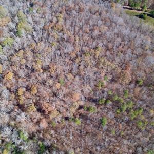 Photo #9 of Off Julie McKnight Road, Kittrell, NC 166.0 acres
