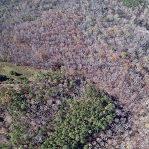 Photo #11 of SOLD property in Off Julie McKnight Road, Kittrell, NC 166.0 acres