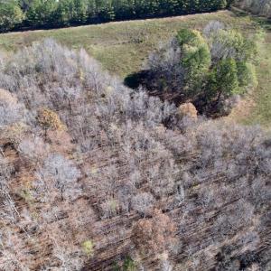 Photo #14 of SOLD property in Off Julie McKnight Road, Kittrell, NC 166.0 acres