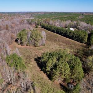 Photo #16 of SOLD property in Off Julie McKnight Road, Kittrell, NC 166.0 acres