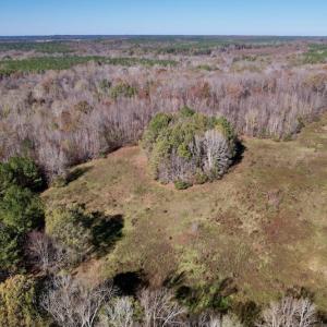 Photo #18 of SOLD property in Off Julie McKnight Road, Kittrell, NC 166.0 acres