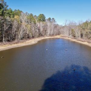 Photo #20 of SOLD property in Off Julie McKnight Road, Kittrell, NC 166.0 acres