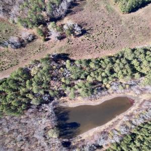 Photo #21 of SOLD property in Off Julie McKnight Road, Kittrell, NC 166.0 acres
