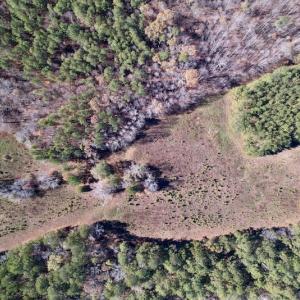 Photo #22 of Off Julie McKnight Road, Kittrell, NC 166.0 acres