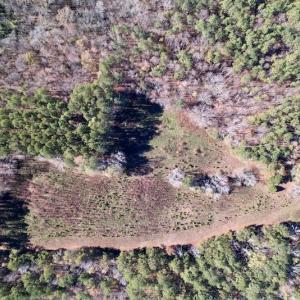 Photo #23 of Off Julie McKnight Road, Kittrell, NC 166.0 acres