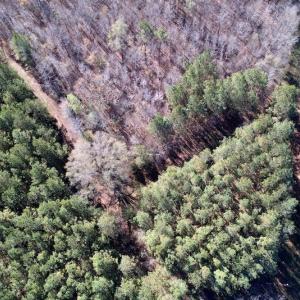 Photo #24 of SOLD property in Off Julie McKnight Road, Kittrell, NC 166.0 acres