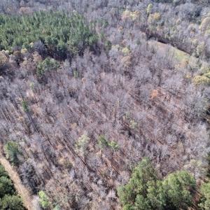 Photo #25 of SOLD property in Off Julie McKnight Road, Kittrell, NC 166.0 acres