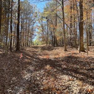 Photo #26 of Off Julie McKnight Road, Kittrell, NC 166.0 acres