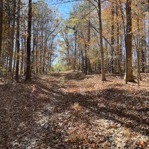 Photo #26 of SOLD property in Off Julie McKnight Road, Kittrell, NC 166.0 acres