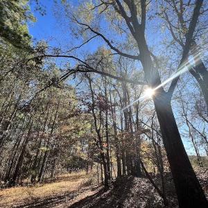 Photo #30 of SOLD property in Off Julie McKnight Road, Kittrell, NC 166.0 acres