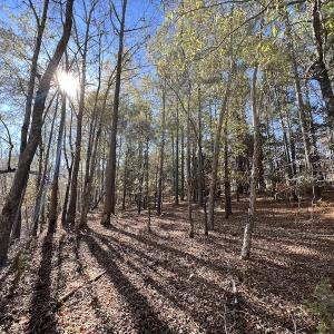 Photo #31 of SOLD property in Off Julie McKnight Road, Kittrell, NC 166.0 acres