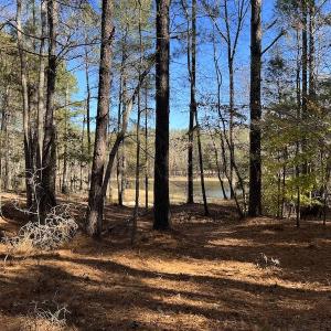 Photo #33 of SOLD property in Off Julie McKnight Road, Kittrell, NC 166.0 acres