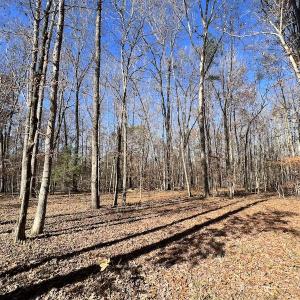 Photo #35 of SOLD property in Off Julie McKnight Road, Kittrell, NC 166.0 acres
