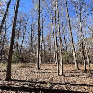 Photo #36 of SOLD property in Off Julie McKnight Road, Kittrell, NC 166.0 acres