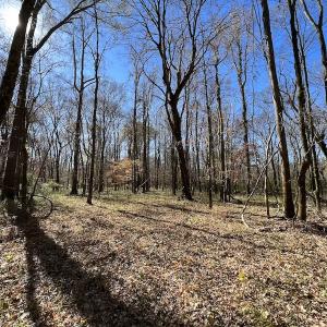 Photo #38 of SOLD property in Off Julie McKnight Road, Kittrell, NC 166.0 acres
