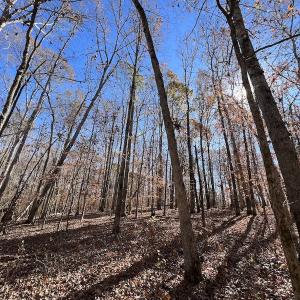 Photo #41 of Off Julie McKnight Road, Kittrell, NC 166.0 acres