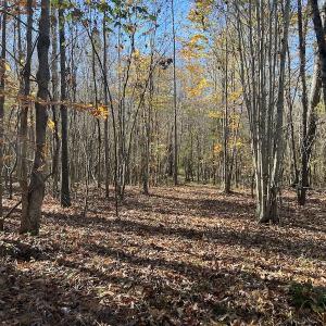 Photo #42 of SOLD property in Off Julie McKnight Road, Kittrell, NC 166.0 acres