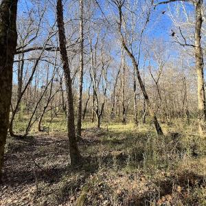 Photo #43 of SOLD property in Off Julie McKnight Road, Kittrell, NC 166.0 acres