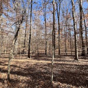 Photo #46 of SOLD property in Off Julie McKnight Road, Kittrell, NC 166.0 acres