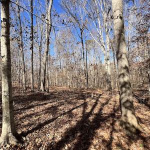 Photo #47 of SOLD property in Off Julie McKnight Road, Kittrell, NC 166.0 acres