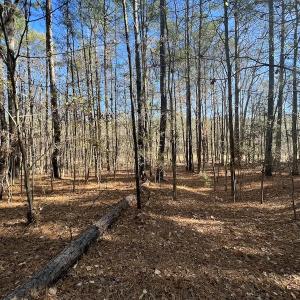 Photo #48 of SOLD property in Off Julie McKnight Road, Kittrell, NC 166.0 acres