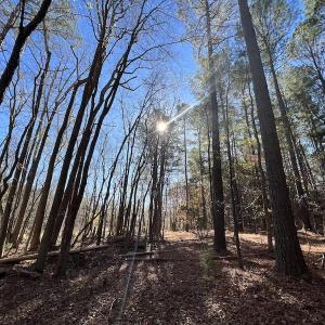 Photo #49 of SOLD property in Off Julie McKnight Road, Kittrell, NC 166.0 acres