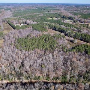 Photo #5 of Off Julie McKnight Road, Kittrell, NC 166.0 acres