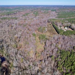 Photo #6 of SOLD property in Off Julie McKnight Road, Kittrell, NC 166.0 acres