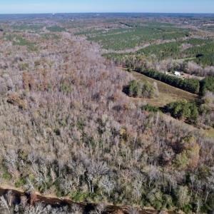 Photo #7 of SOLD property in Off Julie McKnight Road, Kittrell, NC 166.0 acres
