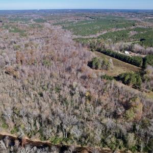 Photo #7 of Off Julie McKnight Road, Kittrell, NC 166.0 acres