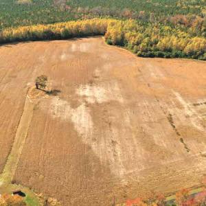 Photo #2 of SOLD property in 3077 Carolina Road, Suffolk, VA 22.0 acres